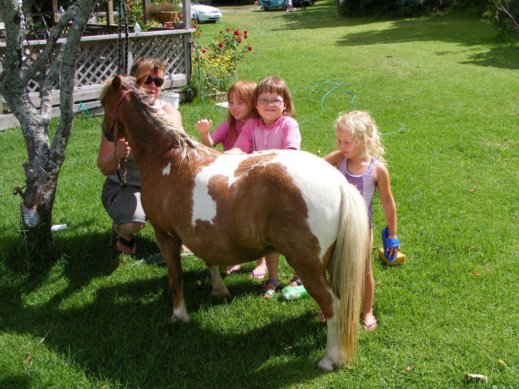 Pukenui Holiday Park Екстериор снимка